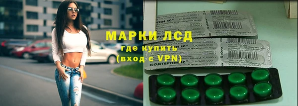 PSILOCYBIN Заводоуковск