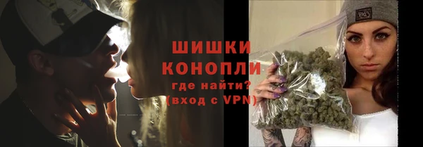 PSILOCYBIN Заводоуковск