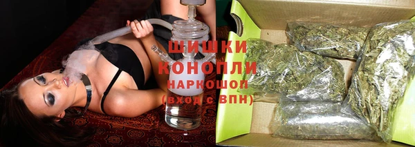 PSILOCYBIN Заводоуковск