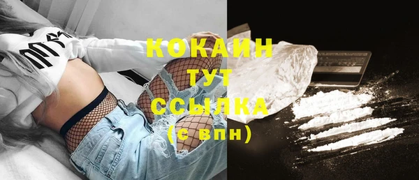 PSILOCYBIN Заводоуковск