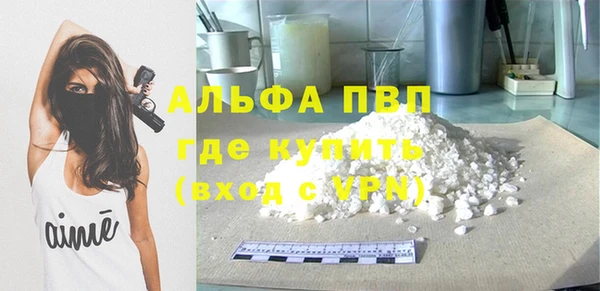 PSILOCYBIN Заводоуковск