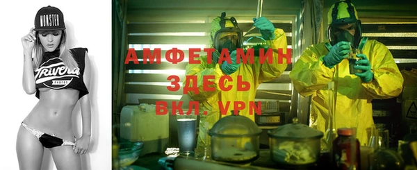 PSILOCYBIN Заводоуковск