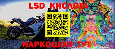 крисы Краснокаменск