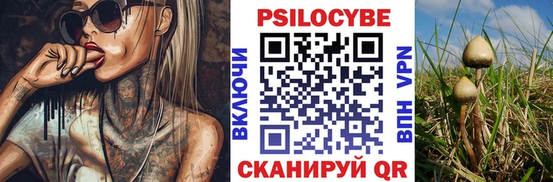 Псилоцибиновые грибы Magic Shrooms купить наркотики цена маркетплейс формула Саяногорск