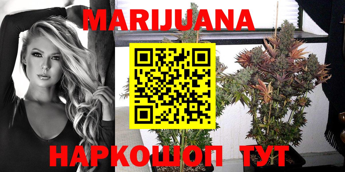 Конопля конопля Саяногорск