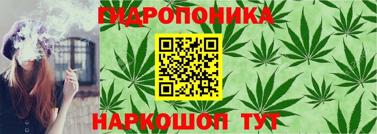 Канабис гибрид  Каннабис семена  Вход с VPN  Саяногорск 